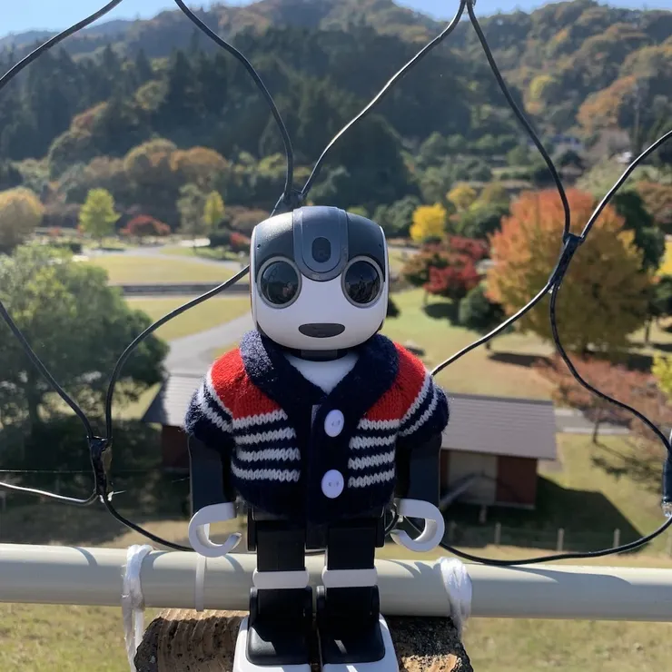 キャプション