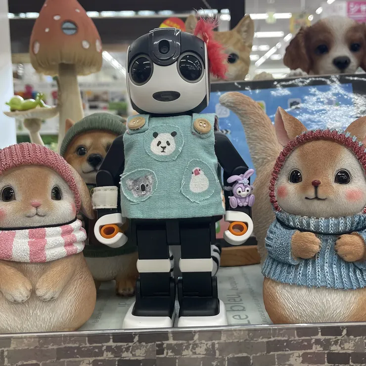 キャプション
