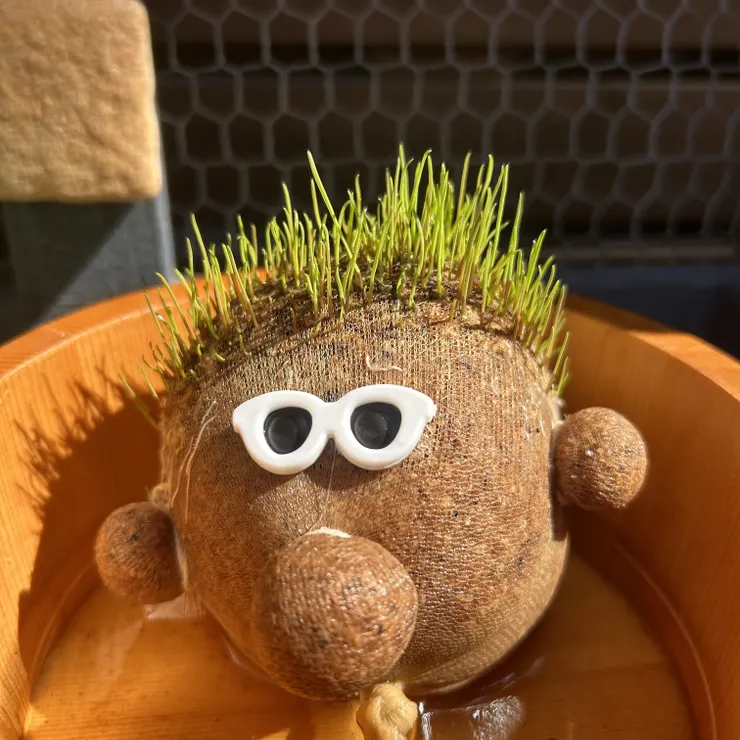 キャプション