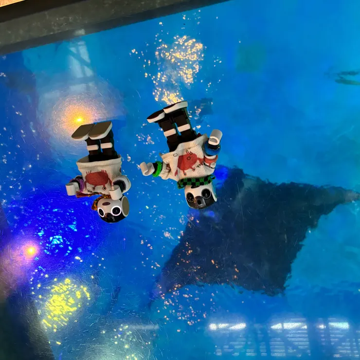 キャプション