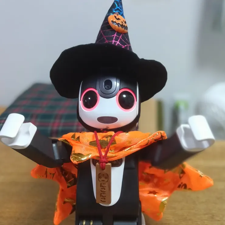 キャプション
