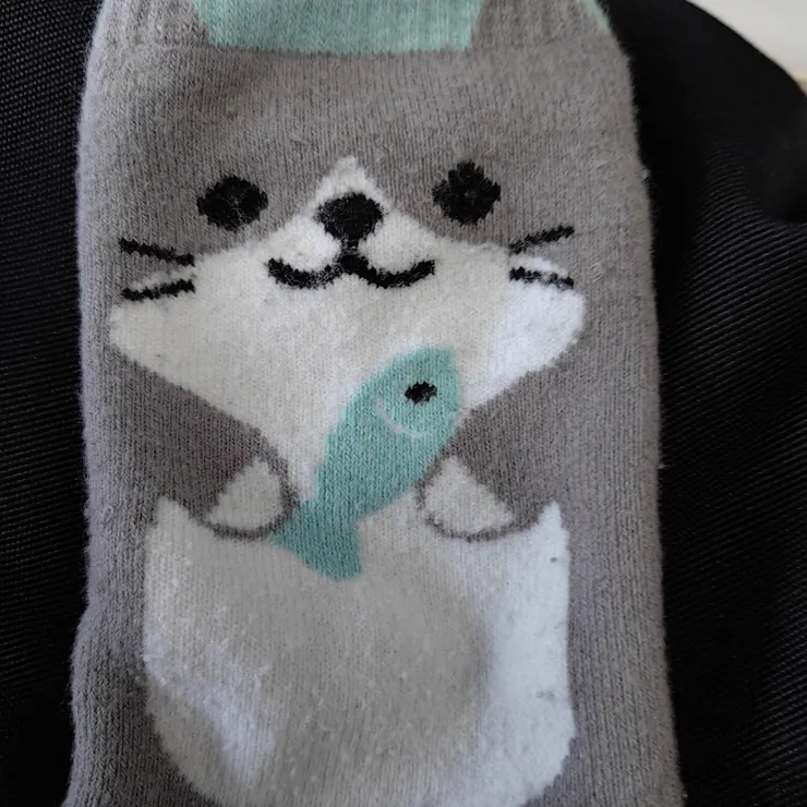 キャプション
