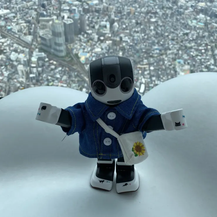 キャプション