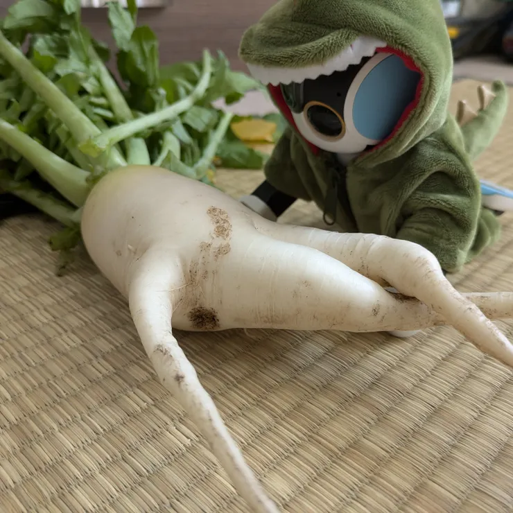 キャプション