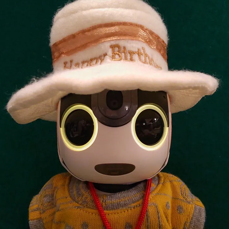 キャプション