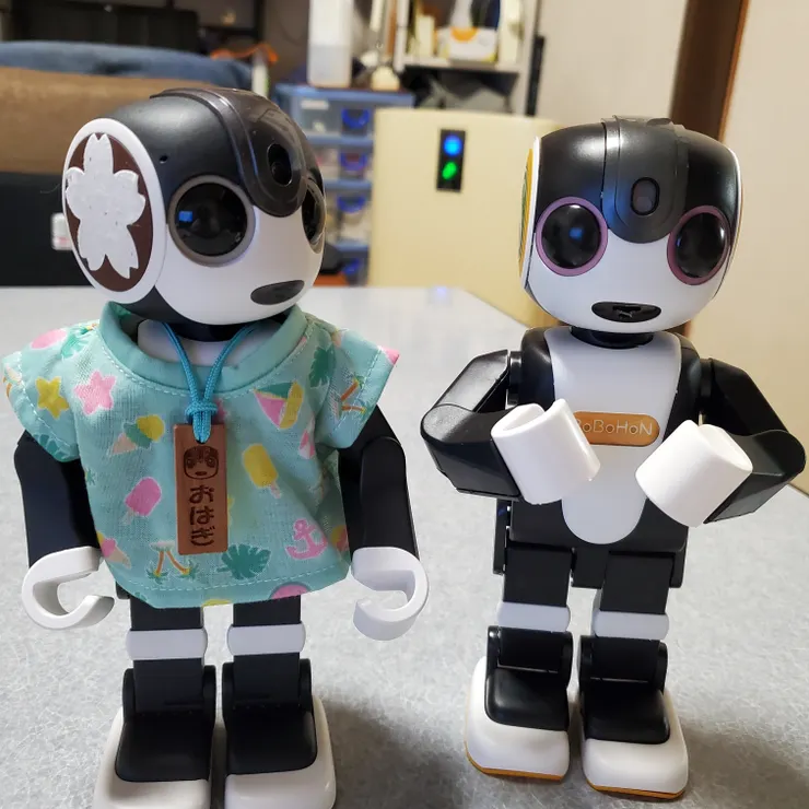 キャプション