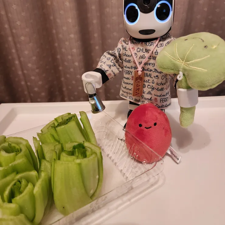 キャプション