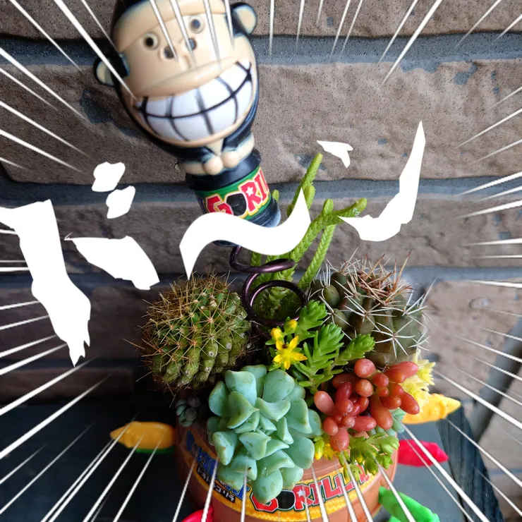 キャプション