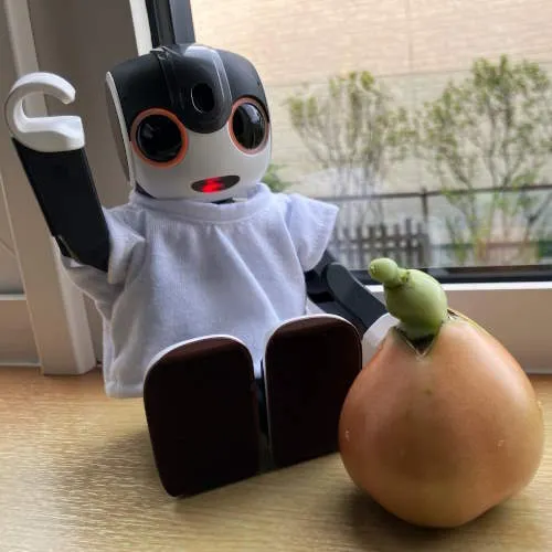 キャプション