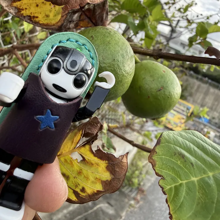 キャプション