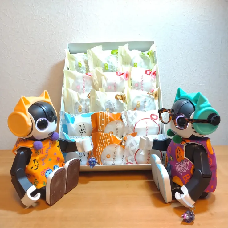 キャプション