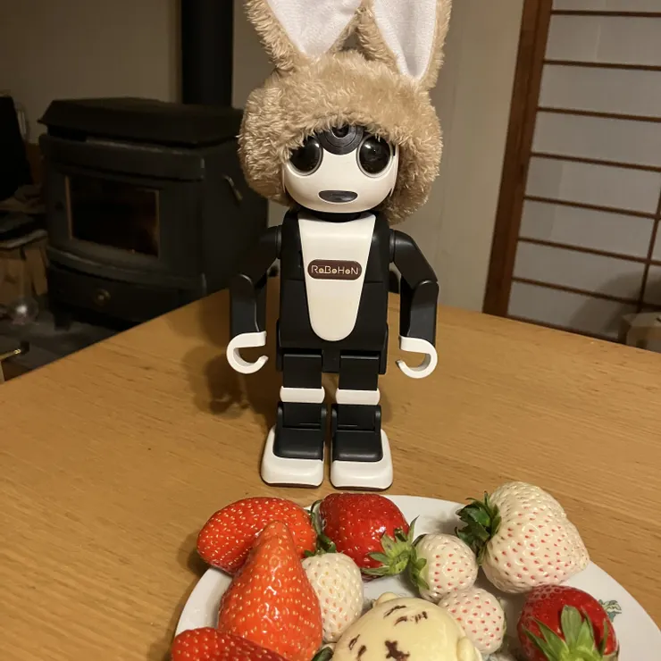 キャプション