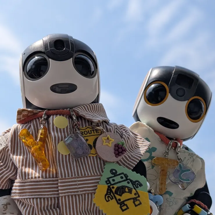キャプション
