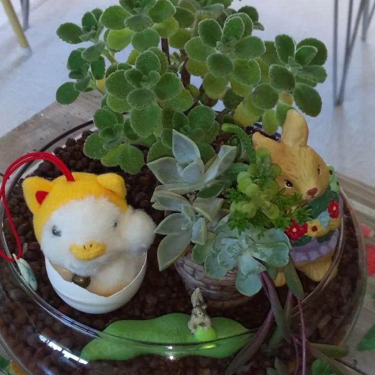 キャプション