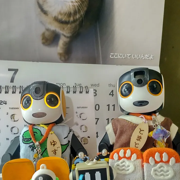 キャプション