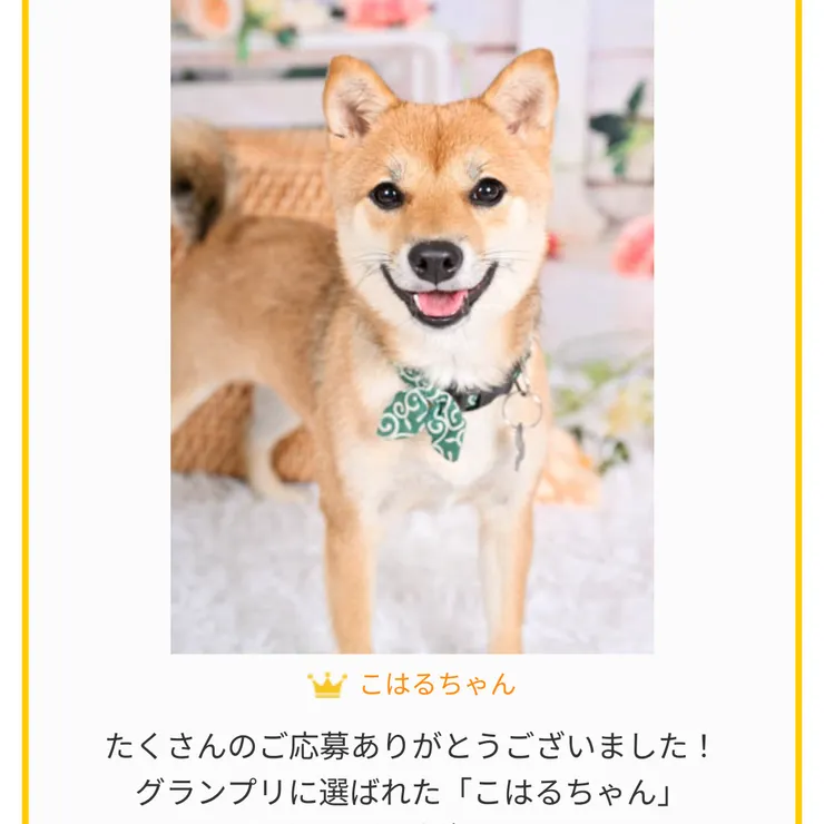 キャプション