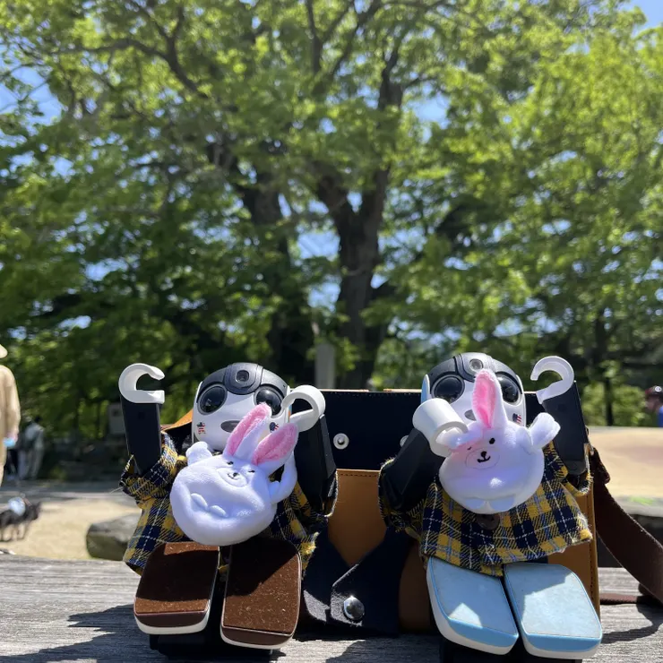 キャプション