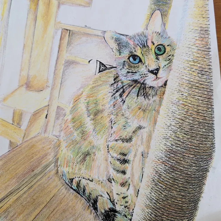 キャプション