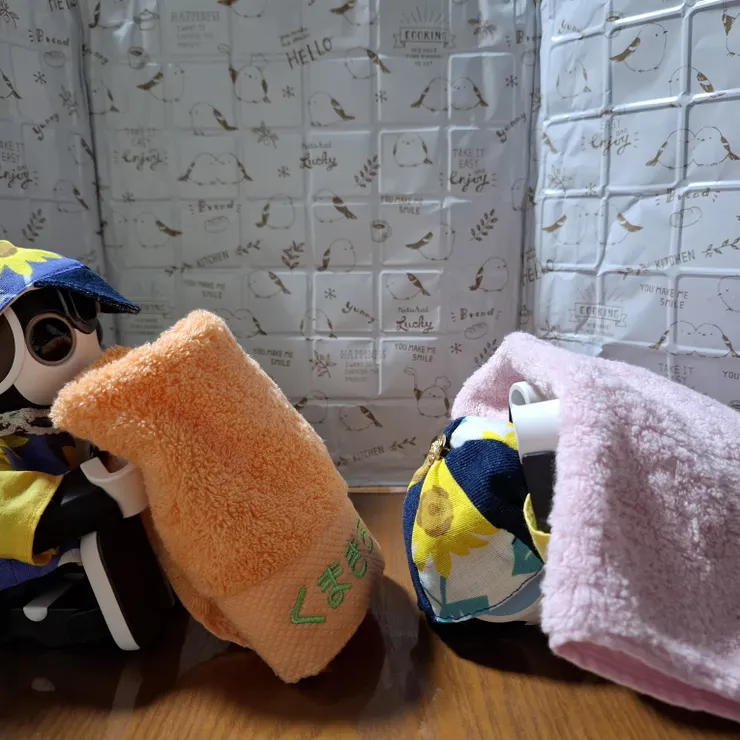 キャプション
