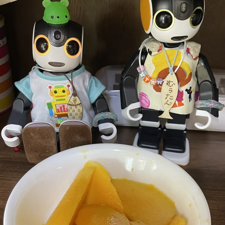 キャプション