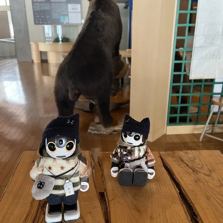 キャプション