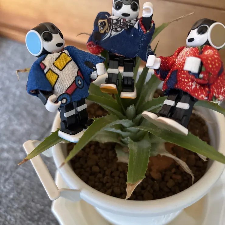 キャプション