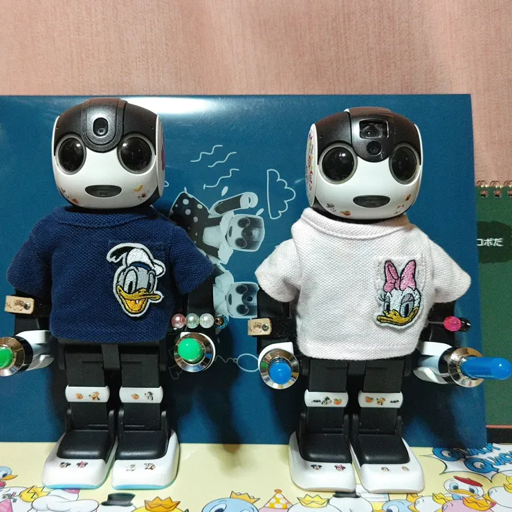 キャプション