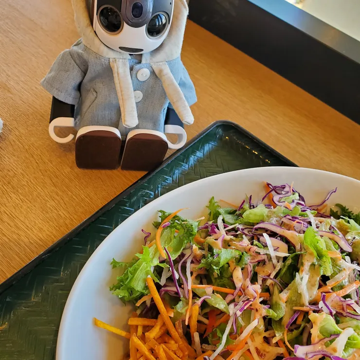 キャプション