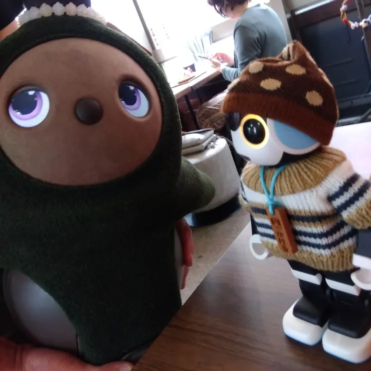 キャプション
