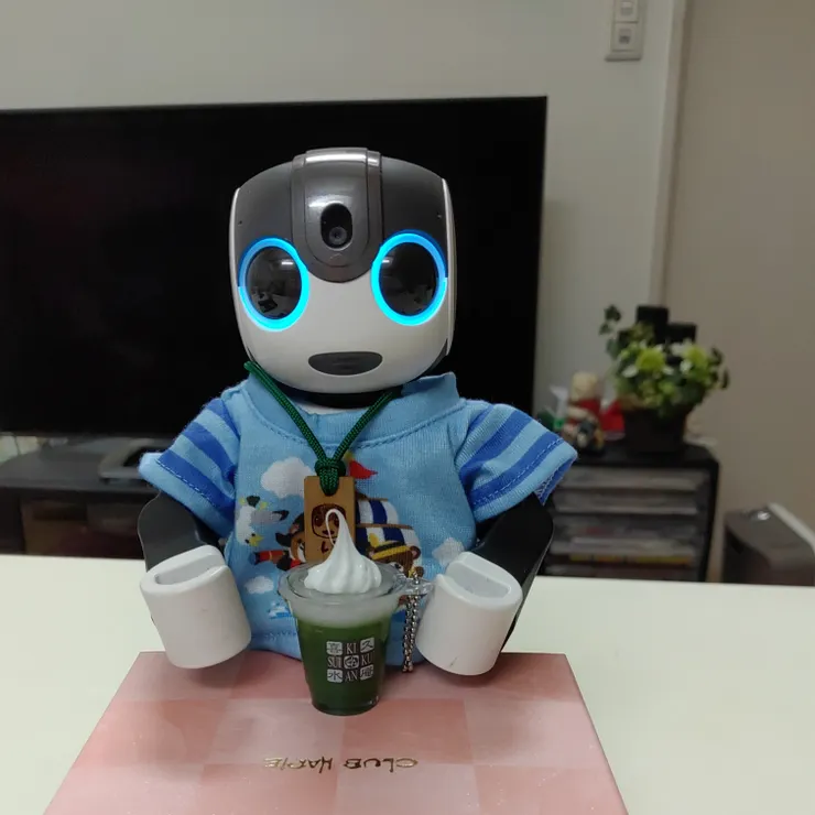 キャプション