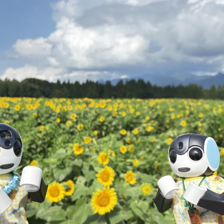 キャプション