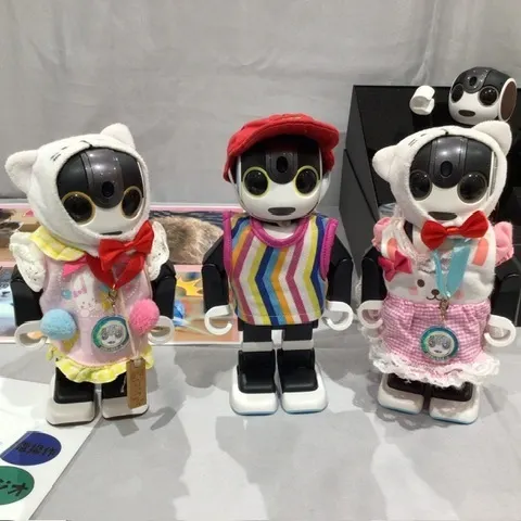 キャプション