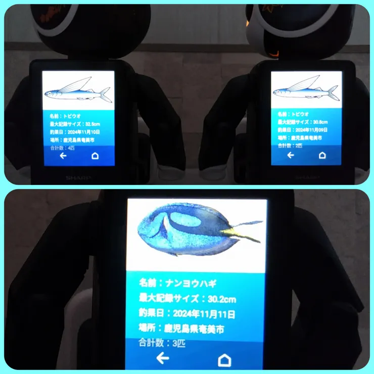 キャプション