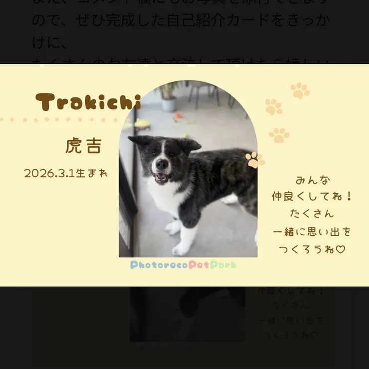 キャプション