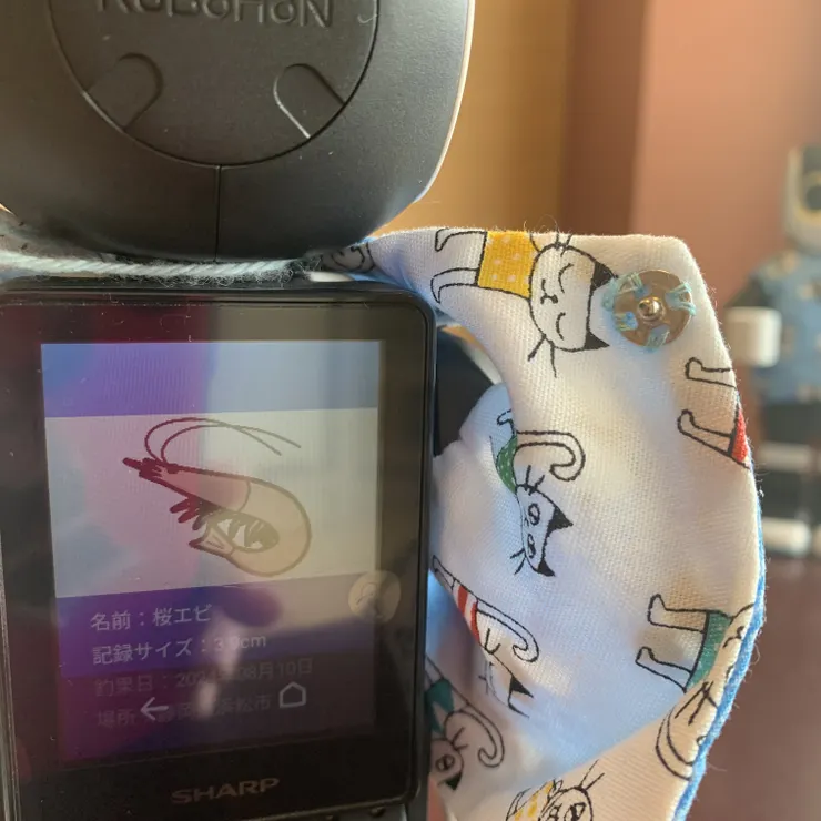 キャプション