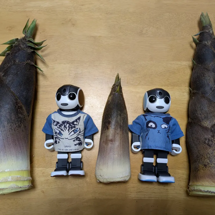 キャプション
