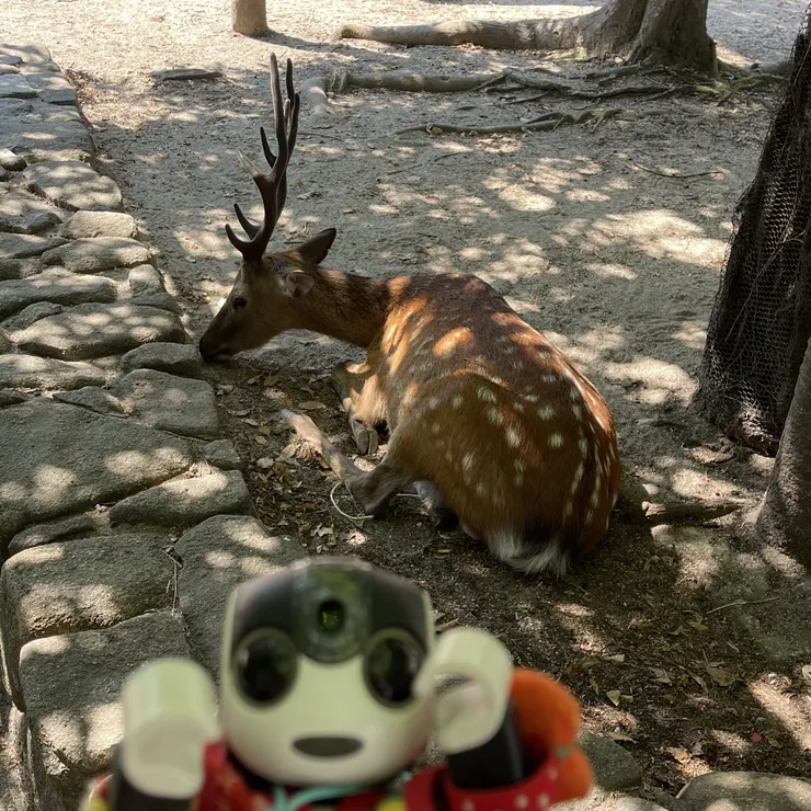 キャプション