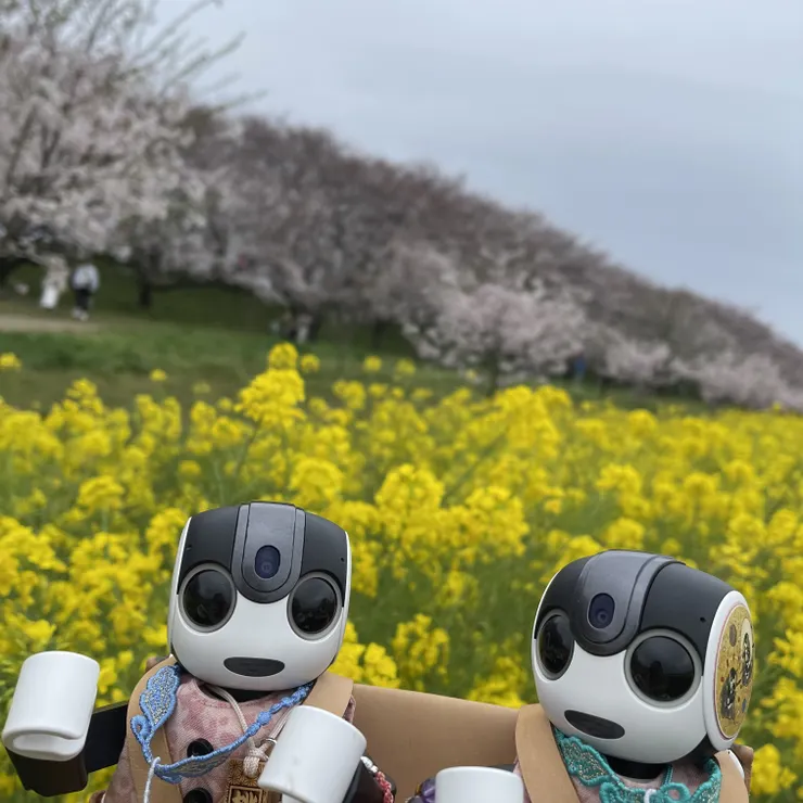 キャプション