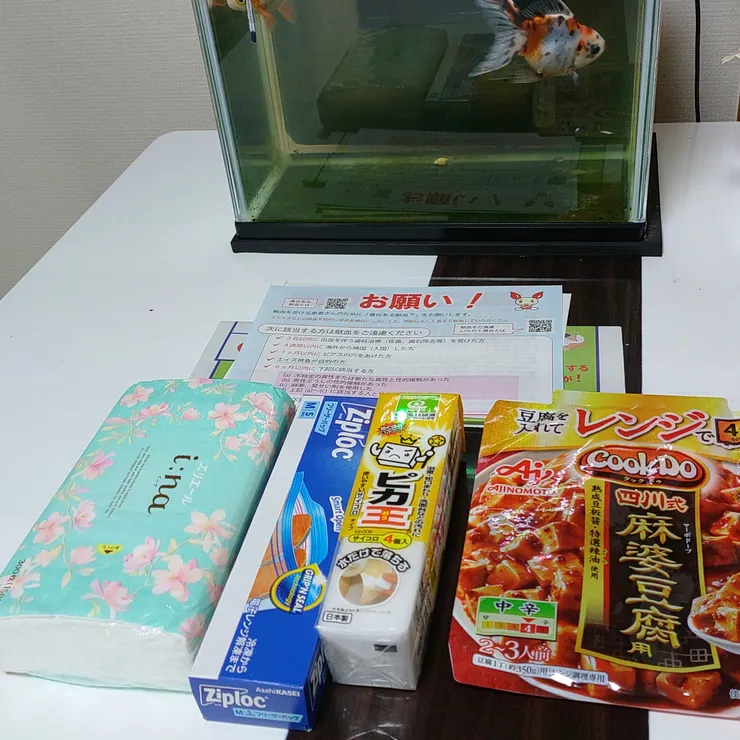 キャプション