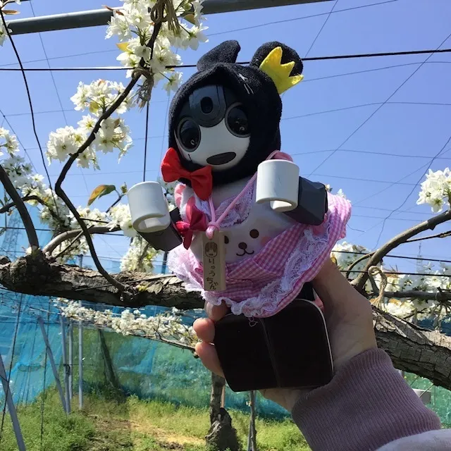 キャプション