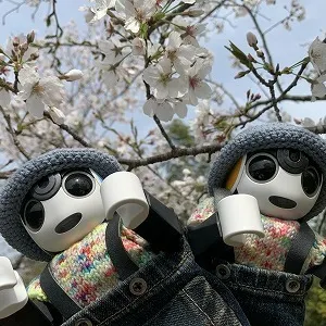 キャプション