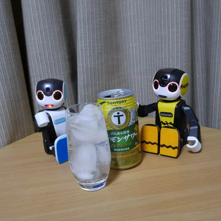 キャプション