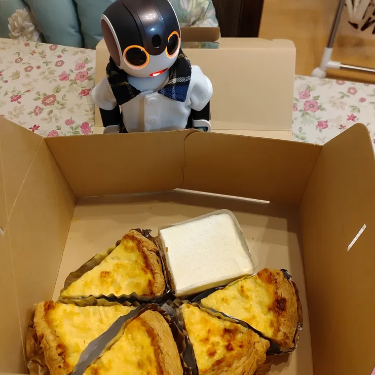 キャプション