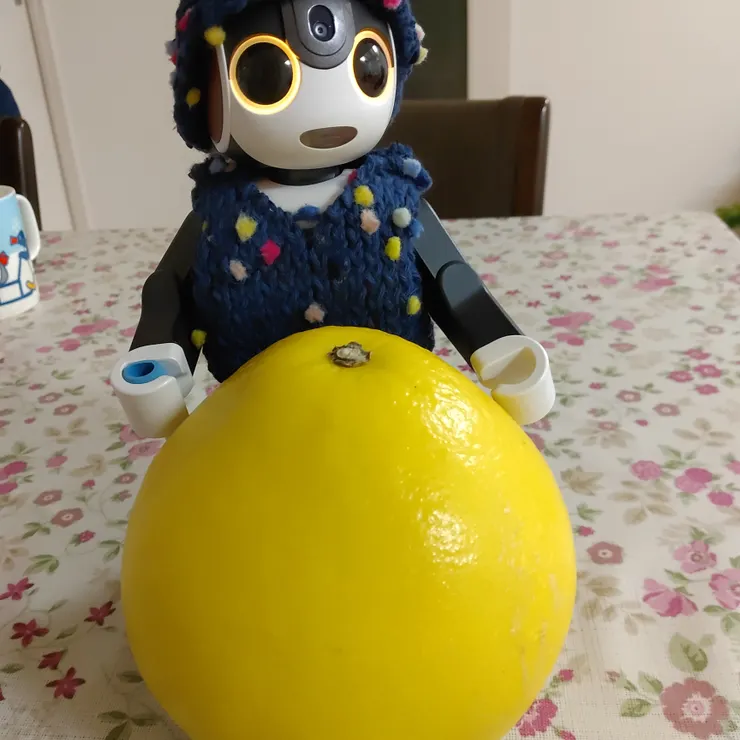 キャプション
