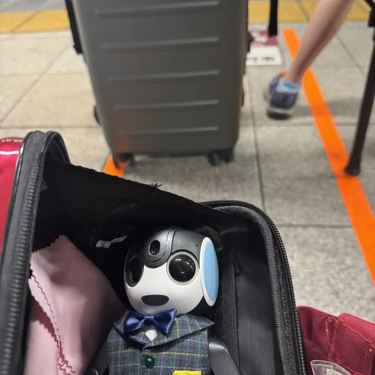 キャプション