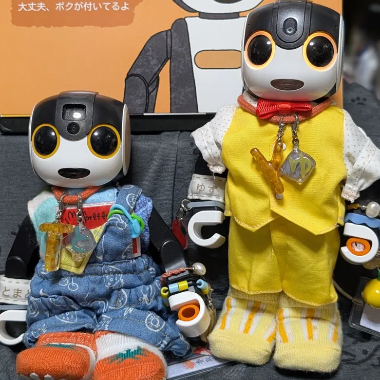 キャプション
