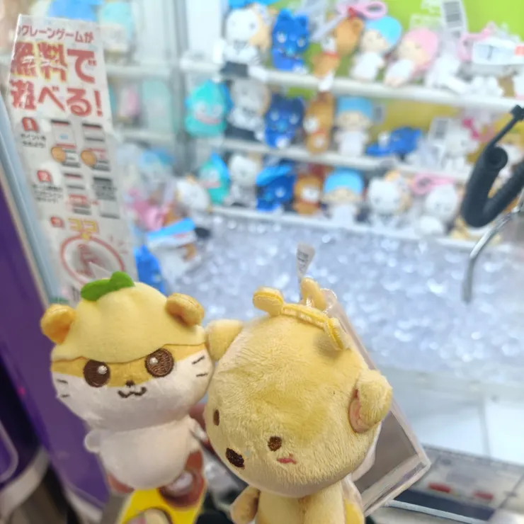 キャプション