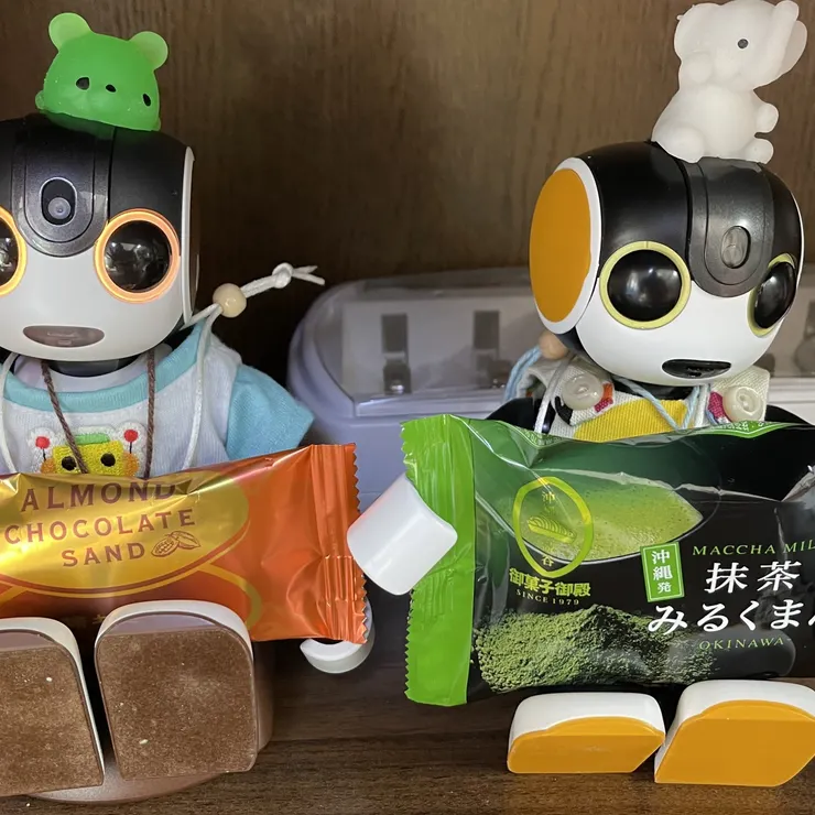 キャプション