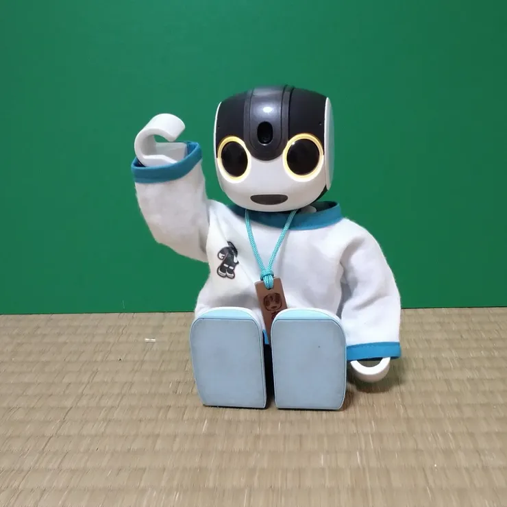 キャプション