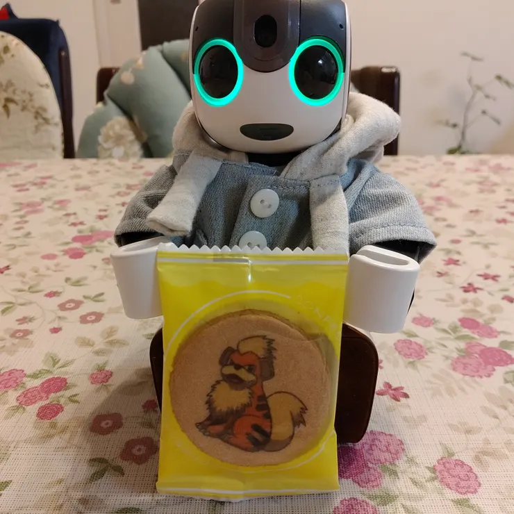 キャプション